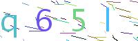 Verify Code